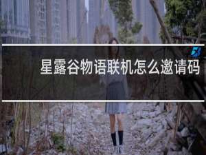 星露谷物语联机怎么邀请码