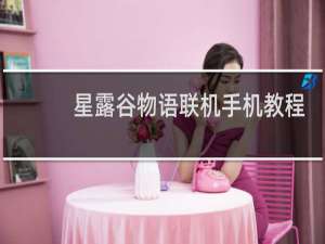星露谷物语联机手机教程