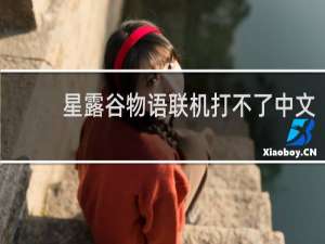 星露谷物语联机打不了中文