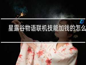 星露谷物语联机技能加钱的怎么算