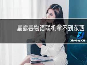 星露谷物语联机拿不到东西