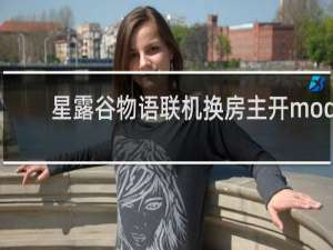 星露谷物语联机换房主开mod