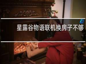 星露谷物语联机换房子不够