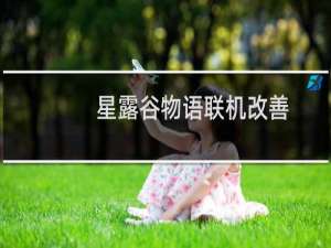 星露谷物语联机改善