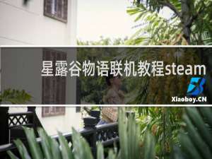 星露谷物语联机教程steam