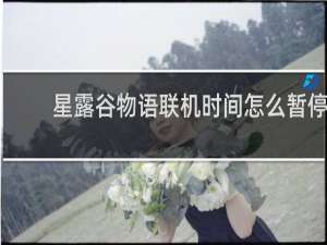 星露谷物语联机时间怎么暂停