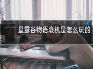 星露谷物语联机是怎么玩的