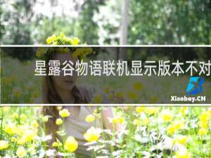 星露谷物语联机显示版本不对