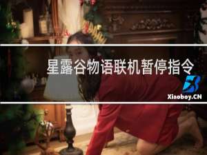 星露谷物语联机暂停指令