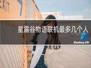 星露谷物语联机最多几个人