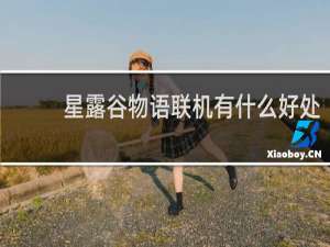 星露谷物语联机有什么好处