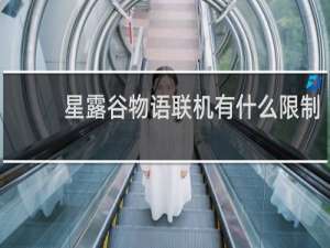 星露谷物语联机有什么限制