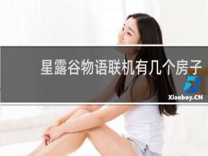 星露谷物语联机有几个房子