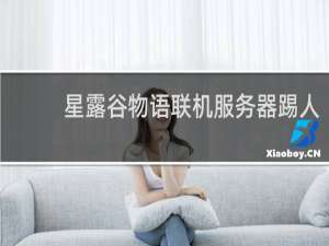 星露谷物语联机服务器踢人