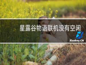 星露谷物语联机没有空闲