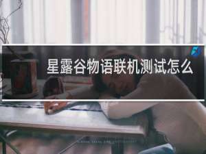 星露谷物语联机测试怎么