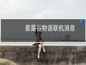 星露谷物语联机消息