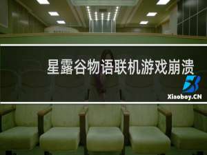 星露谷物语联机游戏崩溃