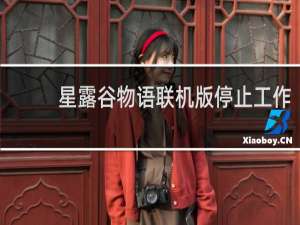星露谷物语联机版停止工作