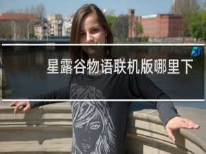 星露谷物语联机版哪里下