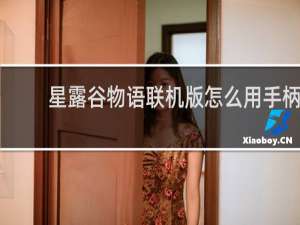 星露谷物语联机版怎么用手柄