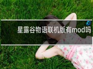 星露谷物语联机版有mod吗