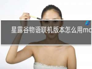 星露谷物语联机版本怎么用mod