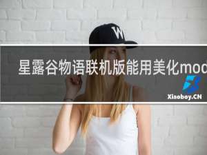 星露谷物语联机版能用美化mod吗