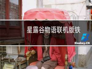 星露谷物语联机版铁