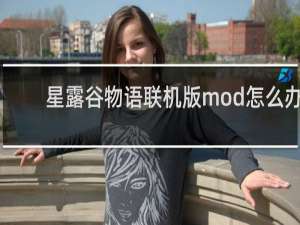 星露谷物语联机版mod怎么办