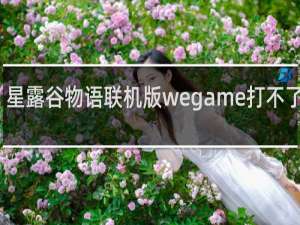 星露谷物语联机版wegame打不了中文