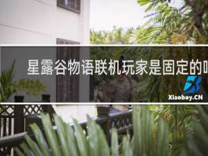 星露谷物语联机玩家是固定的吗