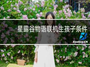 星露谷物语联机生孩子条件