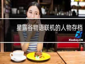 星露谷物语联机的人物存档