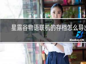 星露谷物语联机的存档怎么导出