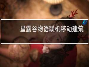 星露谷物语联机移动建筑