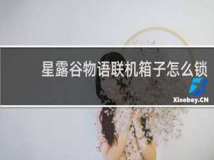 星露谷物语联机箱子怎么锁