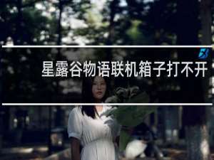 星露谷物语联机箱子打不开