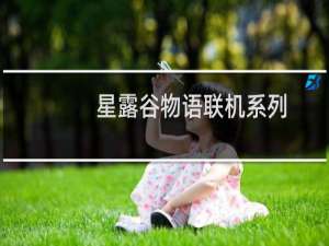 星露谷物语联机系列