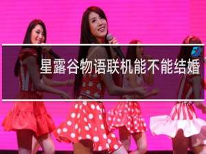 星露谷物语联机能不能结婚
