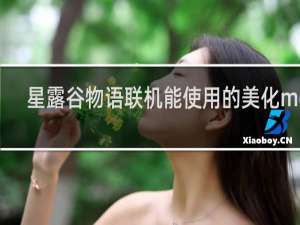 星露谷物语联机能使用的美化mod
