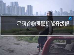 星露谷物语联机能升级吗