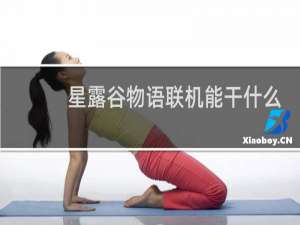 星露谷物语联机能干什么