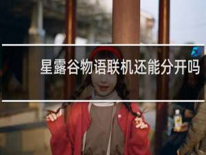 星露谷物语联机还能分开吗