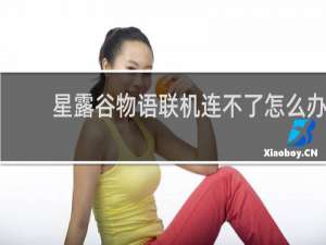 星露谷物语联机连不了怎么办