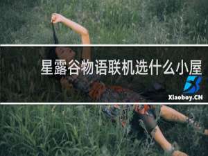 星露谷物语联机选什么小屋