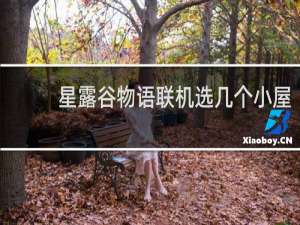 星露谷物语联机选几个小屋