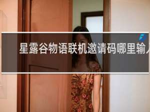 星露谷物语联机邀请码哪里输入