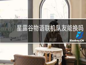 星露谷物语联机队友能换吗