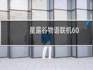 星露谷物语联机60